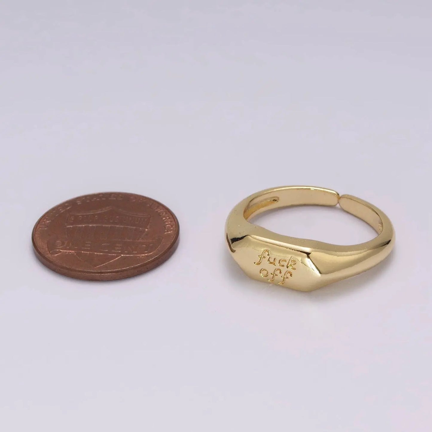 Dainty Gold Fuck Off  Signet Ring Fuckoff rings Open Adjustable signet ring gold rings for women U-133 Aim Eternal Jojo’s Boutique