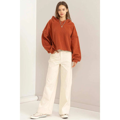 Warm Hug Fluffy Crop Drop Shoulder HoodieHYFVE